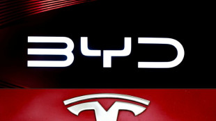 Caen ventas de Tesla en 2025 y la china BYD lidera mercado de autos el&eacute;ctricos