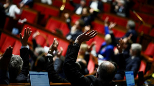 Le budget de la S&eacute;cu, nouveau crash-test &agrave; l'Assembl&eacute;e