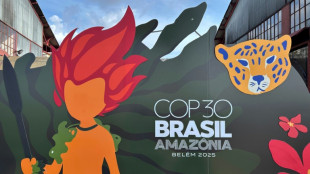 EEUU no enviar&aacute; funcionarios de alto nivel a la COP30 en Brasil