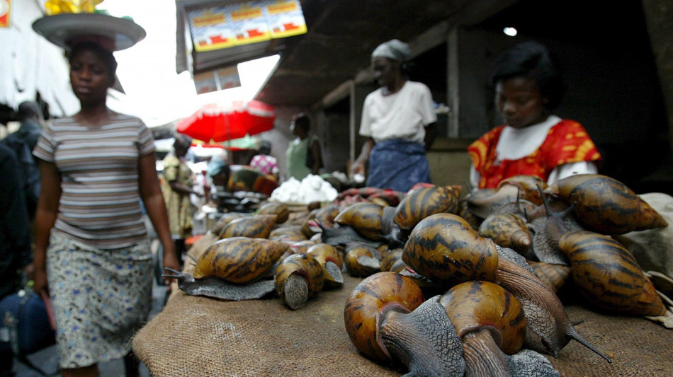  Storico voto all'Onu, il Ghana chiede un risarcimento per la schiavit&ugrave; 