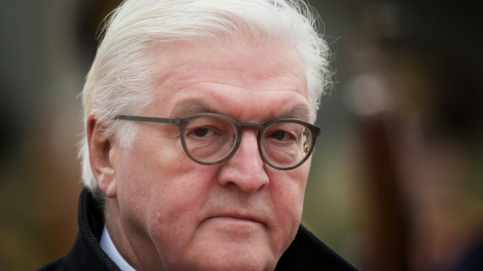Steinmeier nennt Umfragehoch der AfD "beunruhigend"