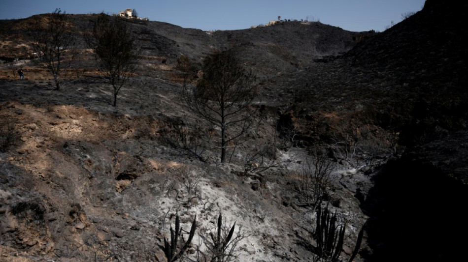  Un incendio que "va a costar" controlar ha quemado 4.500 hect&aacute;reas en Espa&ntilde;a 