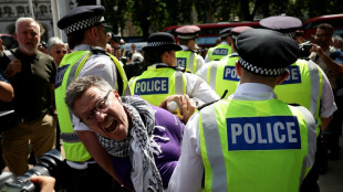 Mais de 300 s&atilde;o detidos em ato em Londres em apoio a organiza&ccedil;&atilde;o pr&oacute;-Palestina