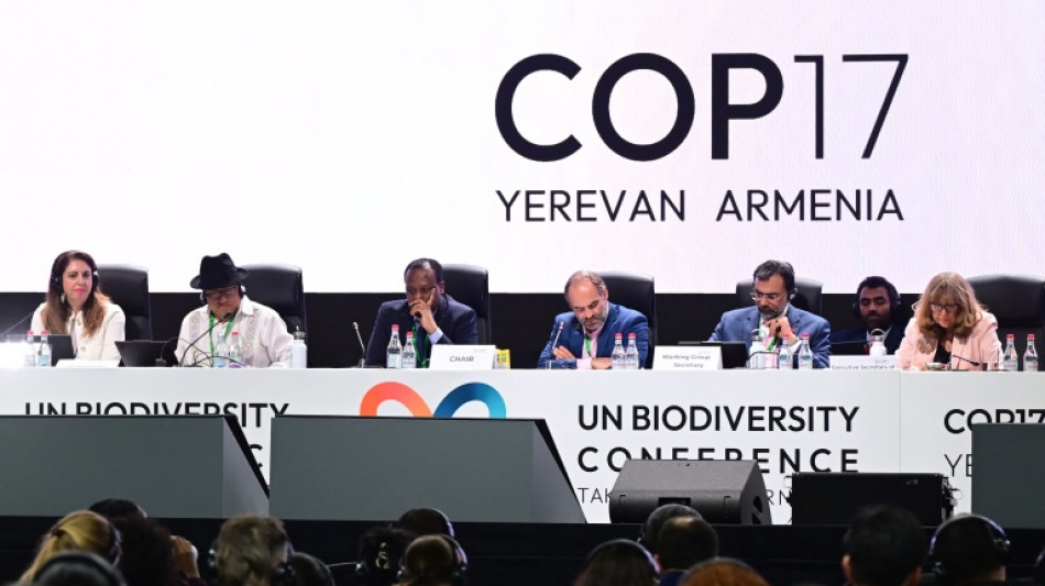  Nations commit to get nature goals back on track 