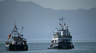 La flottille pour Gaza dit avoir &eacute;t&eacute; vis&eacute;e par une "attaque de drone" au large de Tunis