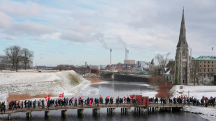 Danemark: 10.000 personnes d&eacute;filent pour d&eacute;noncer les propos de Trump sur l'Afghanistan
