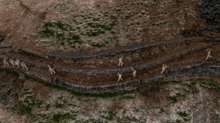 Guano, um tesouro agr&iacute;cola sob amea&ccedil;a no Peru