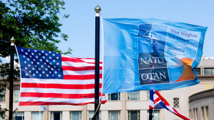 Pentagono, 'metteremo alleati Nato in condizioni di difesa convenzionale Europa'