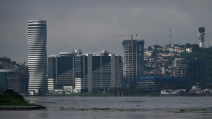 Crimen y desempleo, el desafío del próximo presidente de Ecuador