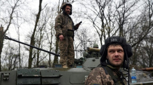 Union erw&auml;gt Antrag im Bundestag zu Lieferung schwerer Waffen an Ukraine