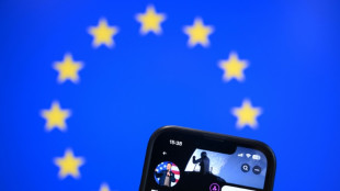 L'UE va-t-elle tenir le choc face aux provocations de la "tech" am&eacute;ricaine?