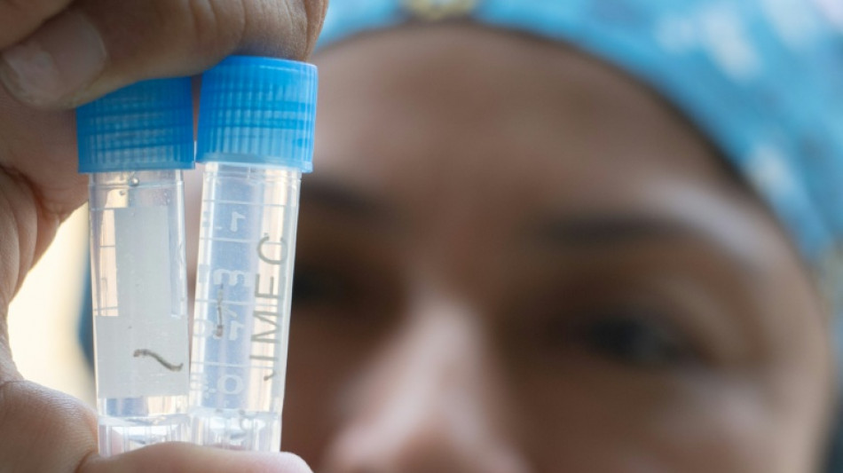  Aumentan las muertes de dengue en Per&uacute; por el fen&oacute;meno clim&aacute;tico El Ni&ntilde;o 