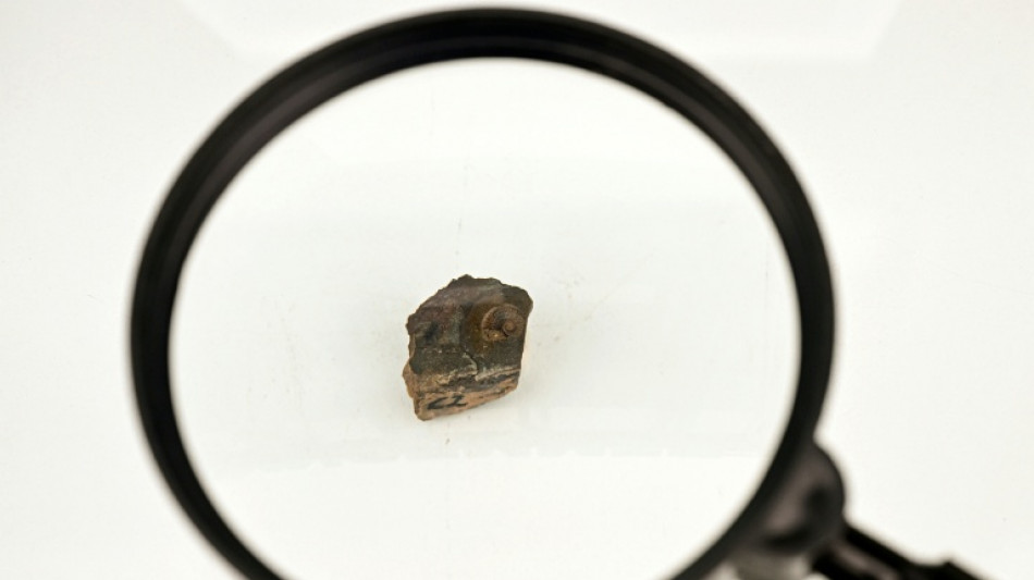 Exhiben en Per&uacute; el f&oacute;sil de una especie singular delf&iacute;n de hace 12 millones de a&ntilde;os