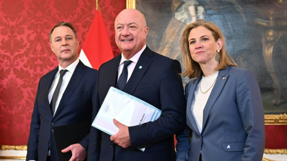&Aacute;ustria tem acordo para formar governo de coaliz&atilde;o sem a extrema direita
