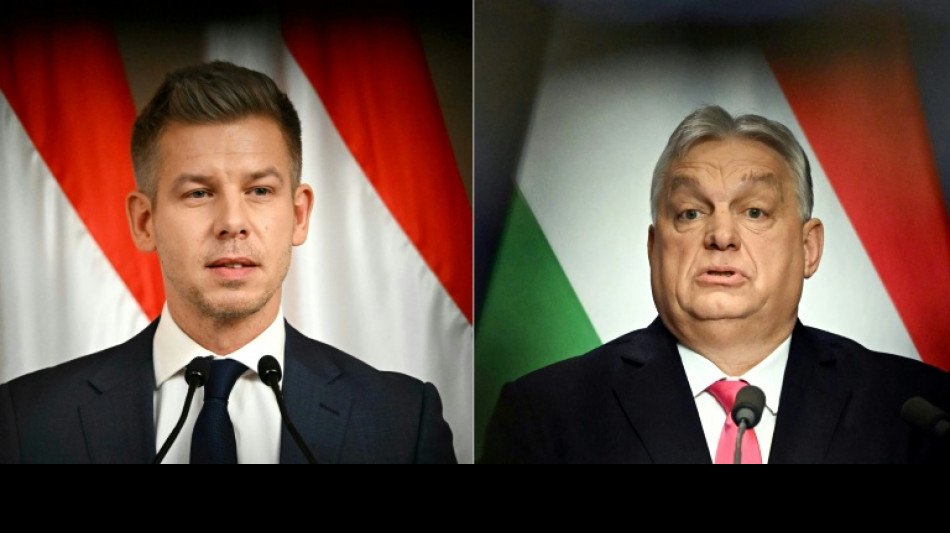  Parlamentswahl in Ungarn begonnen - Niederlage Orbans m&ouml;glich 