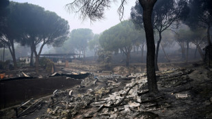 Incendies en Espagne: "La lumi&egrave;re au bout du tunnel", le retour des sinsitr&eacute;s commence