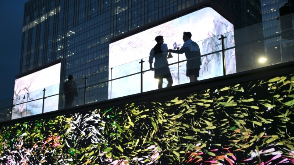  Too bright: Seoul to dim digital billboards after complaints 