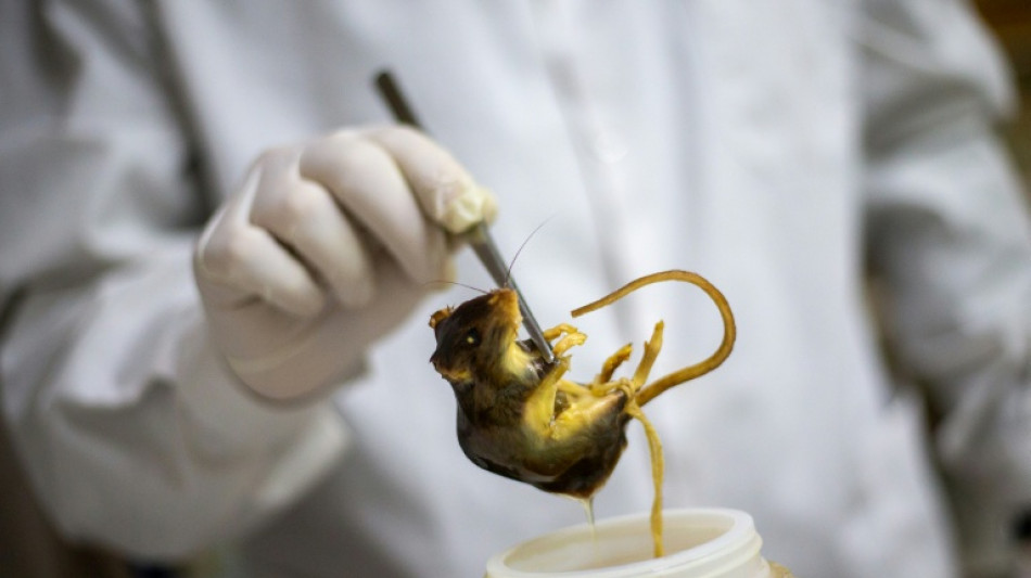 Canadian cruise passenger confirmed positive for hantavirus