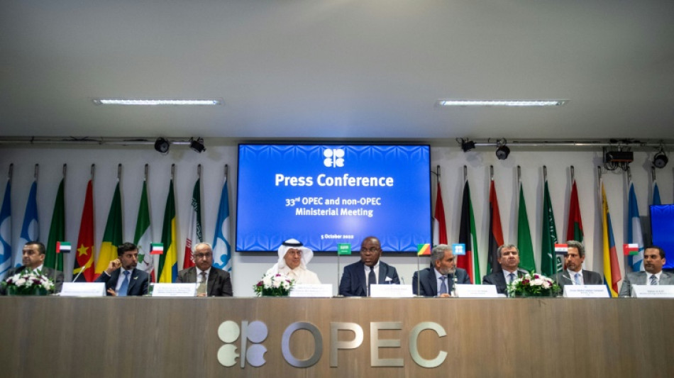 La OPEP prev&eacute; un crecimiento de la demanda mundial de petr&oacute;leo hasta 2035