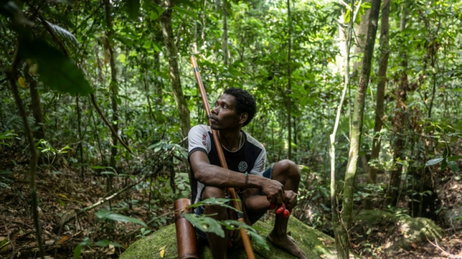 Thailand's last hunter-gatherers seek land rights