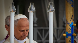 Il Papa, basta guerre, non possiamo rassegnarci alle immagini di morte