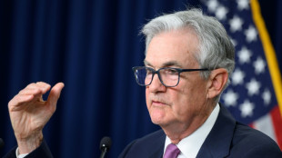 Pause, hike, cut: Central banks diverge over regional challenges