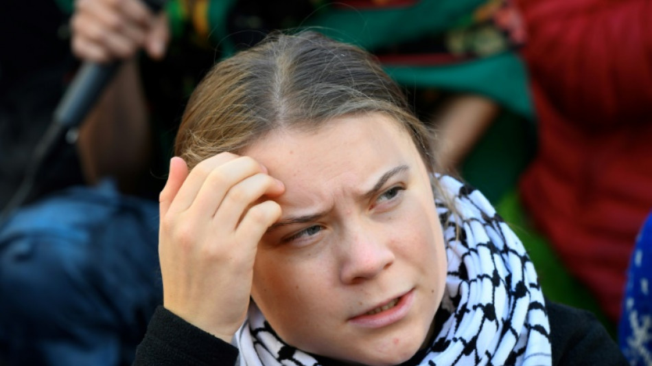 CDU-Politiker Throm verlangt Einreisesperre f&uuml;r Klimaaktivistin Greta Thunberg