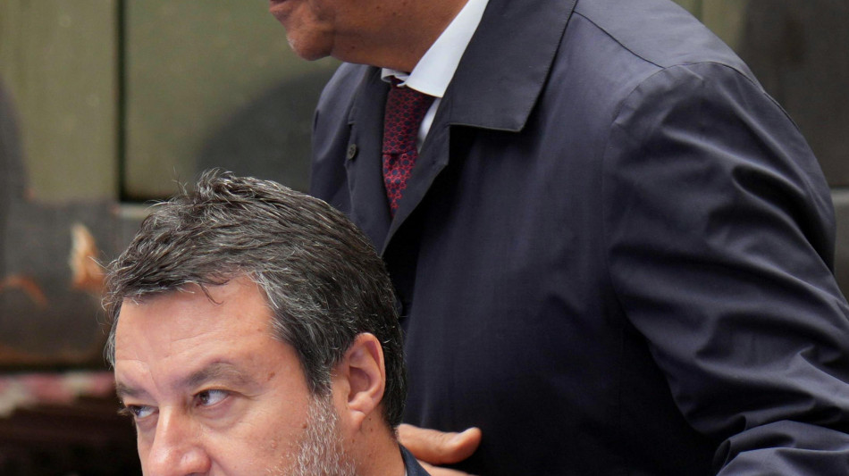 Salvini, se uno stupra o uccide gli voglio revocare la cittadinanza
