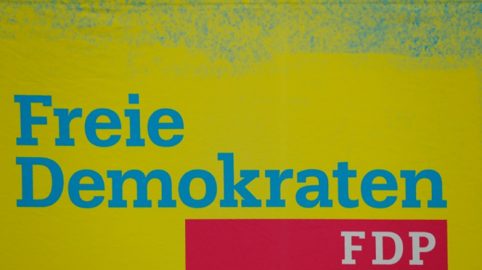FDP-Spitze plant Votum auf Parteitag zugunsten schwerer Waffen f&uuml;r die Ukraine