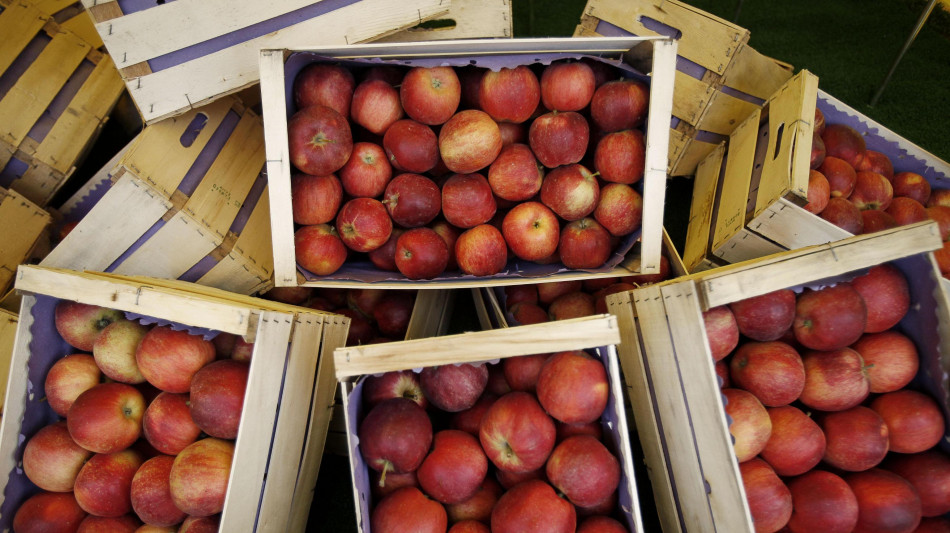 Iran: Confagricoltura, guerra blocca export prodotti agricoli, navi con ortofrutta ferme