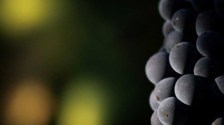  A Wine Paris, trois jours de salon pour contrer les multiples crises du vin 