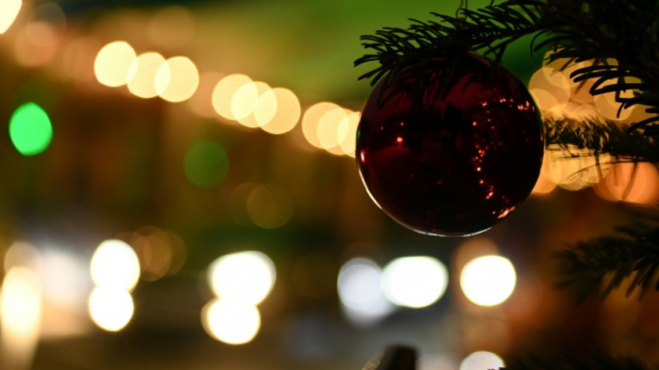 BGH verhandelt &uuml;ber Sonntagsverkauf von Weihnachtsdeko im Gartenmarkt