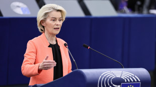 Von der Leyen, 'bene i progressi tra Usa e Iran, riaprire Hormuz'