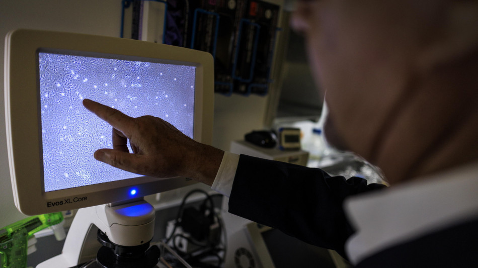  Si lavora per ricostruire l'antenato di tutte le cellule 