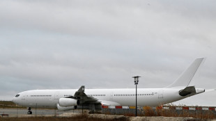 Varios menores no acompa&ntilde;ados, en el avi&oacute;n bloqueado en Francia por presunto tr&aacute;fico de personas