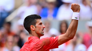 History-making Djokovic claims record 23rd Grand Slam triumph