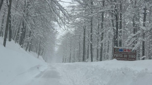 ++ Protezione civile Abruzzo, è allarme valanghe, massima prudenza ++