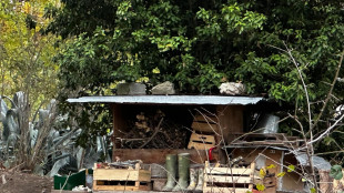 Famiglia bosco, genitori convocati gioved&igrave; in Tribunale