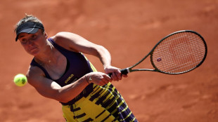 Sorry for screaming: Svitolina hails husband Monfils's Paris epic