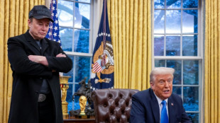 Musk reducirá "significativamente" el tiempo que dedica al gobierno de Trump para centrarse en Tesla