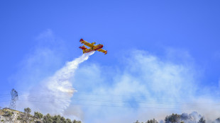 Incendio in Francia, mobilitati 1.250 pompieri e 9 Canadair