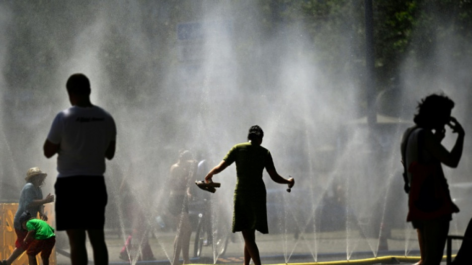  Germany sees hottest temperature on record of 41.3C: weather service 