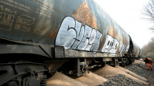 Blocage d'un train en Bretagne: des amendes contre sept militants &eacute;cologistes