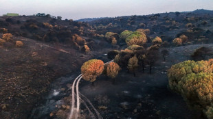Amainan los incendios en Francia y Espa&ntilde;a, pero surgen nuevos frentes en el sureste de Europa