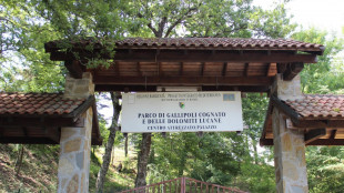 Tracciabilit&agrave; satellitare su tre cicogne nere nate in Basilicata