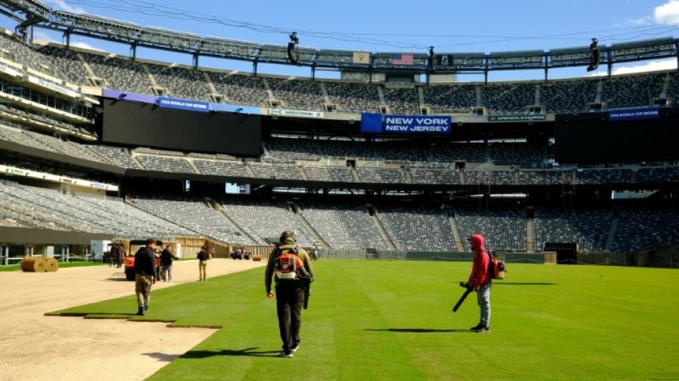  Pitch for World Cup final installed at US stadium 
