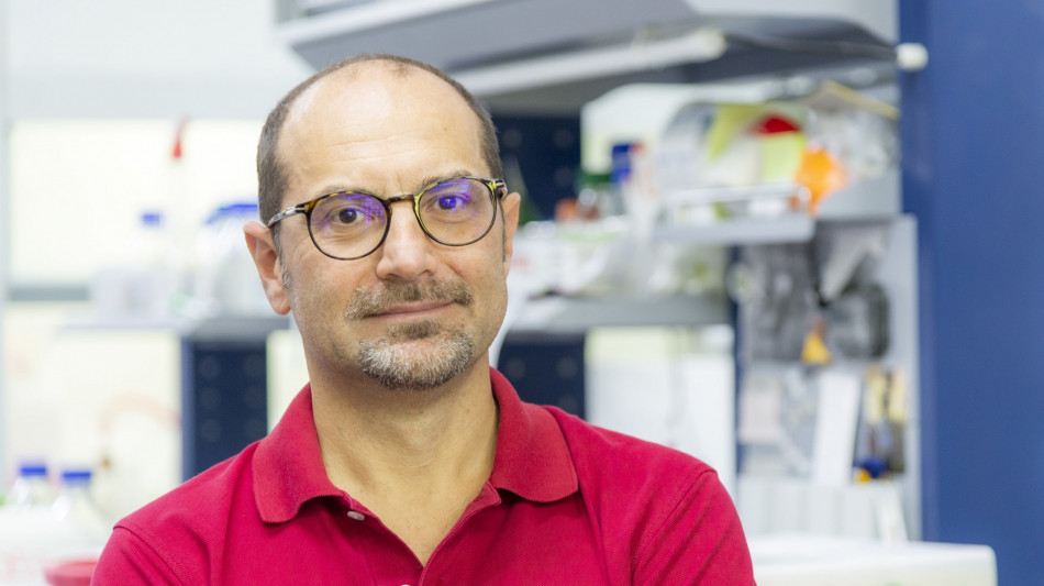  Nuovo modello di IA open source traduce il Dna per la medicina di precisione 