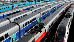 La ligne &agrave; grande vitesse Paris-Lyon ferme &agrave; partir de vendredi soir jusqu'&agrave; mercredi matin