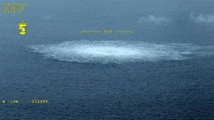 Rusia acusa a Reino Unido de "dirigir y coordinar" el sabotaje a&nbsp;los gasoductos Nord Stream
