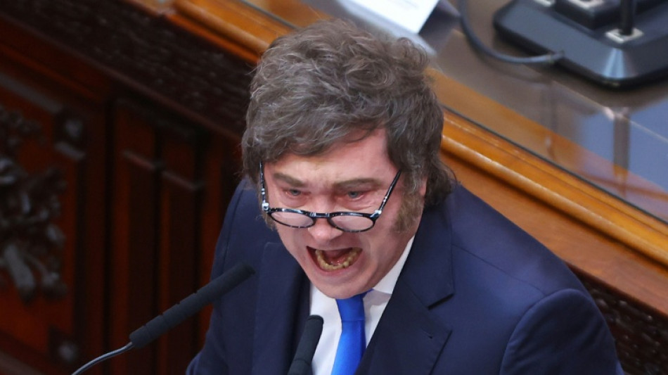  Milei promete m&aacute;s reformas y quiere una "alianza estrat&eacute;gica duradera" con EEUU 